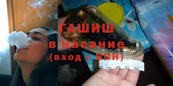 гашик Козловка