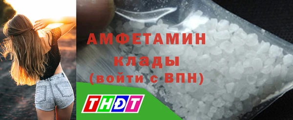 гашик Козловка