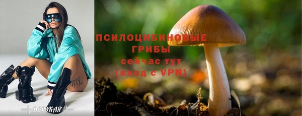 гашик Кодинск