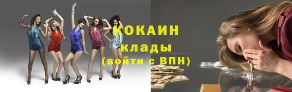 гашик Козловка