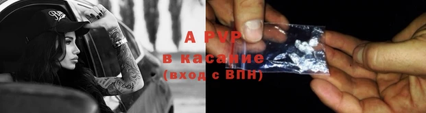 гашик Кодинск