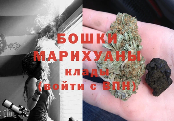 гашик Козловка