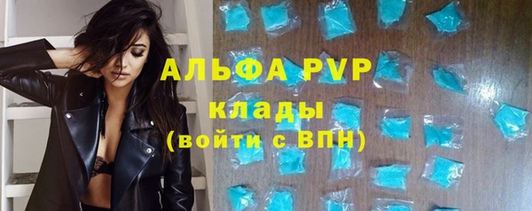 гашик Козловка