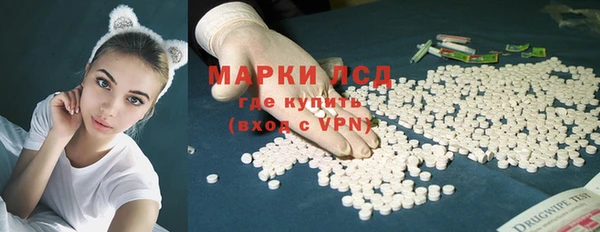 гашик Козловка
