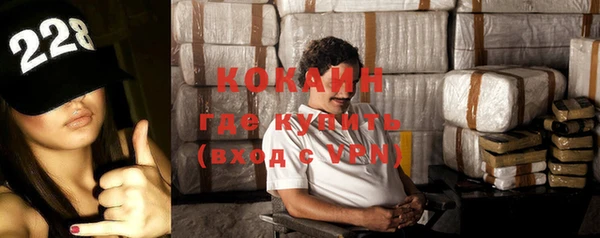 гашик Козловка