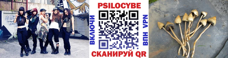 Купить где  Тамбов  Псилоцибиновые грибы Magic Shrooms 